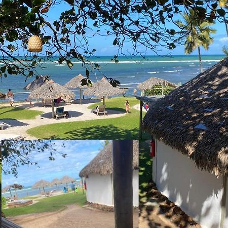 Pousada Farol Das Tartarugas Praia do Forte Ngoại thất bức ảnh
