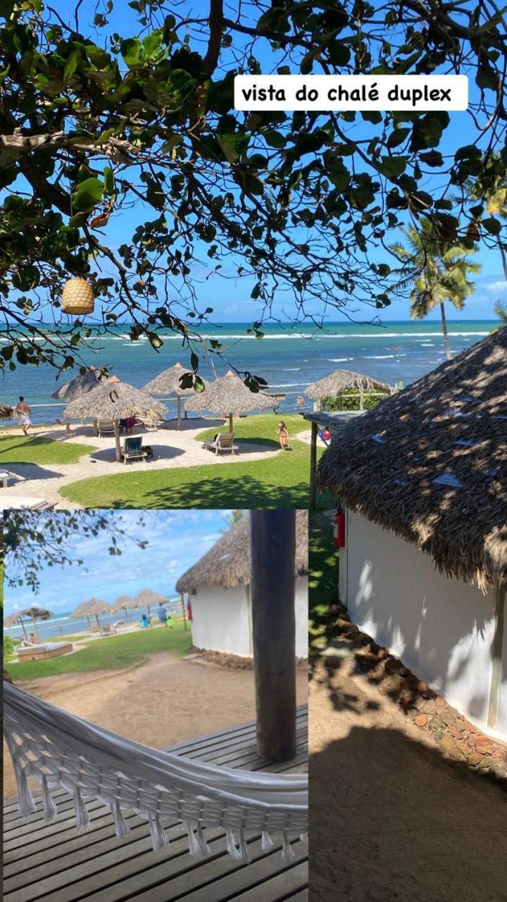 Pousada Farol Das Tartarugas Praia do Forte Ngoại thất bức ảnh