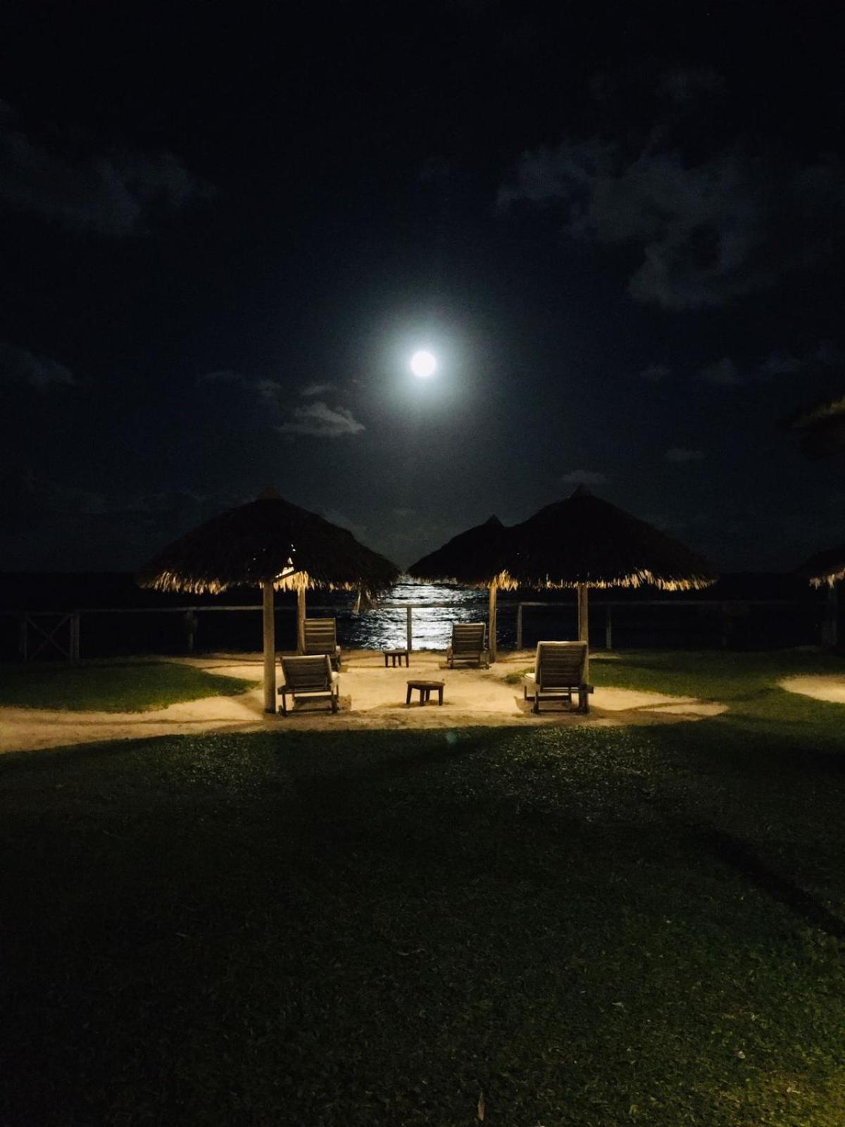 Pousada Farol Das Tartarugas Praia do Forte Ngoại thất bức ảnh
